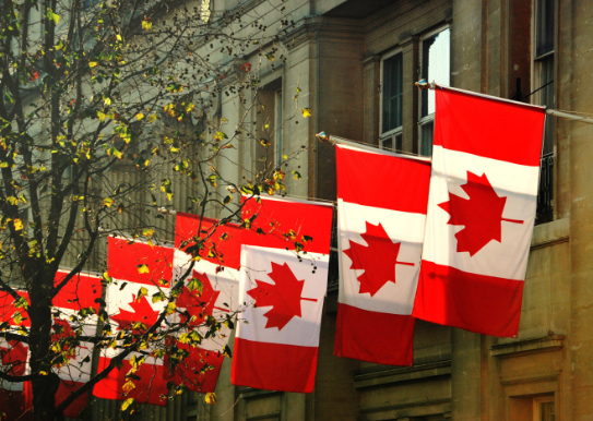 目前加拿大留学本科申请趋势是怎样的？
